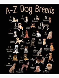 a - z dog breeds poster with all the letters and their names on black background