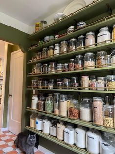 a cat sitting on the floor in front of a shelf full of food