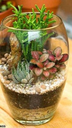 a glass vase filled with plants and rocks on top of a wooden table next to potted plants