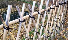 a fence made out of bamboo sticks and barbed wire with leaves on the ground next to it