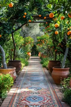 an orange tree lined walkway with potted plants and fruit trees in the background,