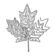 a black and white drawing of a leaf