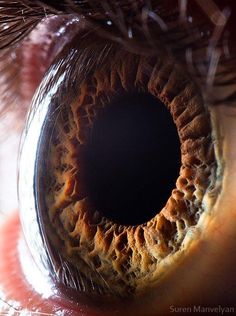 an extreme close up shot of the iris of someone's eye