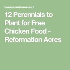 the text reads 12 perennials to plant for free chicken food see do i make?