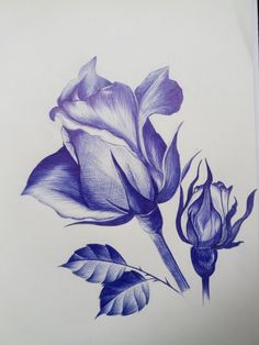 Difficulty: Difficult  croquis au bic Ballpen Art, Ballpoint Pen Drawing, Blue Pen, Roses Drawing, Basic Drawing, Dark Art Drawings, Pen Sketch