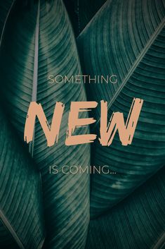 the words something new is coming are surrounded by green leaves