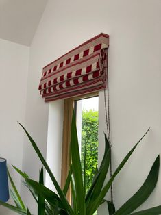 a potted plant sitting in front of a window with a red and white roman blind