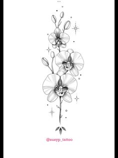 a black and white drawing of an orchid