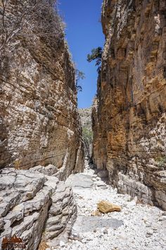 a narrow canyon with rocks and trees in the background