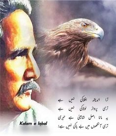 an eagle and a man with the words kalam e labal