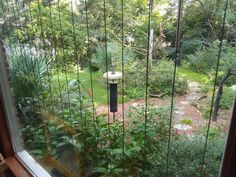 the view from inside a house looking out onto a garden