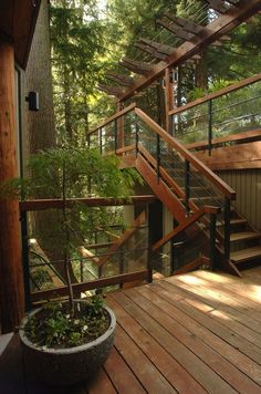 a wooden deck with stairs leading up to a small tree in a potted planter