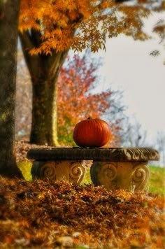 an orange pumpkin sitting on top of a stone bench in the fall leaves near a tree