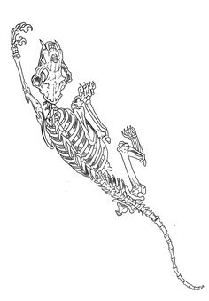 a skeleton is flying through the air with his arms in the air and legs spread out