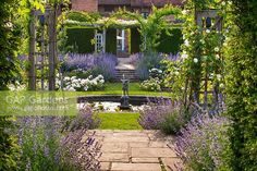 a garden with purple flowers and greenery in the foreground, surrounded by an archway