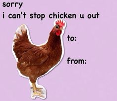 a chicken with the words sorry i can't stop chicken u out to from