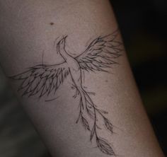 a black and white photo of a bird with feathers on it's back leg