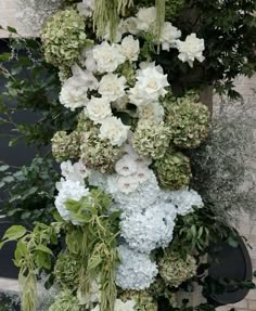 white flowers and greenery growing on the side of a building