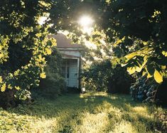 the sun shines through the trees in front of an abandoned house