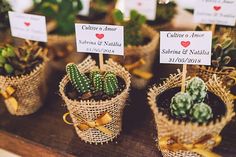 small potted plants with place cards on them