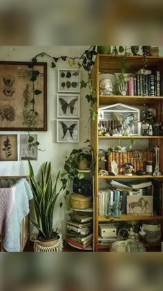 a living room filled with lots of books and plants