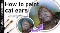 an advertisement for acrylic products with a cat's head and the words how to paint cats ears in acrylics