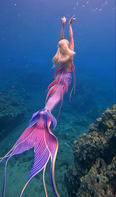 mermaid H2o Mermaid Tails, Tail Aesthetic, Pink Mermaid Tail, Mermaid Tales, Pink Mermaid, Mermaid Tail, The Ocean