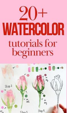 watercolor flowers for beginners with the title, 20 + watercolor tutors for beginners