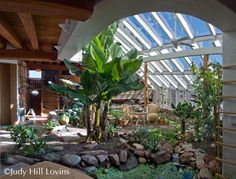 the inside of a house with lots of plants and rocks on the ground in front of it