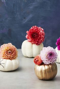 a magazine with three white pumpkins decorated with flowers