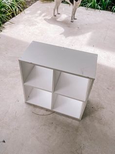 a dog standing next to a white bookcase in the middle of a garden area