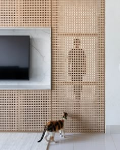 a cat is standing in front of a television screen and wall with perforated panels