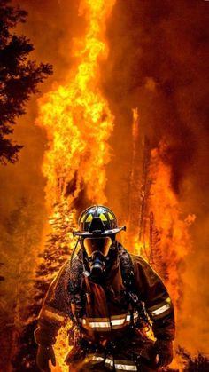 a firefighter standing in front of a blazing forest