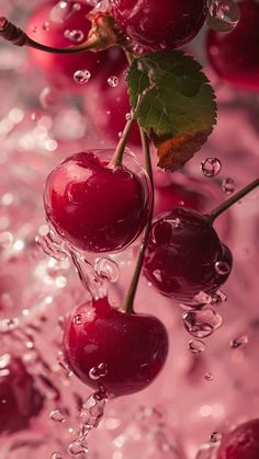 some cherries are floating in the water