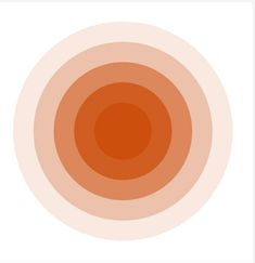 an orange circle on a white background that is very similar to the same color scheme