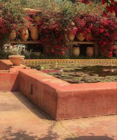 an outdoor pond surrounded by potted plants and flowers