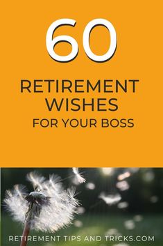 a dandelion with the words 60 retirement wishes for your boss