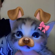 a person holding a small kitten with ears on it's head and wearing a pink bow