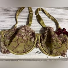 Fayreform Light Olive Green, Burgundy And Taupe Share Embroidered Lace Bra. Size 32c. Nwot Green Bra, Light Olive Green, Green Bras, Sheer Bra, Embroidered Lace, Lace Bra, Women's Intimates, Olive Green, Bra