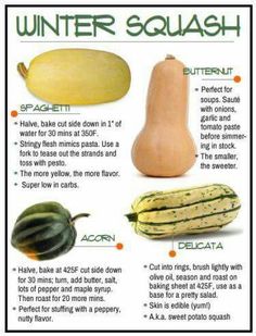 an image of winter squash info sheet