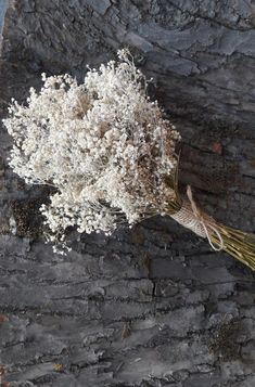 a bunch of white flowers sitting on top of a stone wall