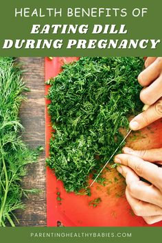 7 Health Benefits Of Eating Dill During Pregnancy.
#dill #dillduringpregnancy #dillbenefits #eatingdillinpregnancy #regnancyfood #healthcare #healthbenefits