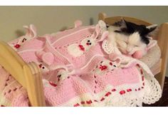 a black and white cat sleeping in a crocheted blanket