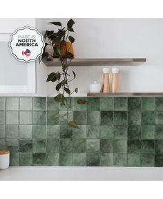 a green tile backsplash with some plants in the corner and bottles on the shelf