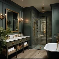 a bath room with a tub a sink and a mirror on the wall in it