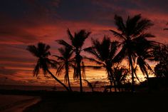 palm trees are silhouetted against the sunset at an oceanfront resort in costa rica