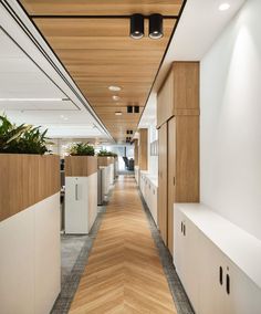 an office hallway with wood paneling and planters on either side of the wall