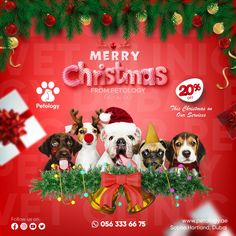 merry christmas from pettology with dogs and presents on red background, surrounded by evergreens