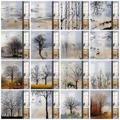 many different pictures of trees and birds in the sky