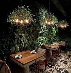 an indoor dining area with tables, chairs and hanging plants on the wall behind them